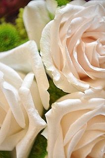 Agamede Centro de Terapias Naturales rosas blancas